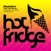 Discoscience - Feel The Groove - Single