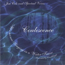 Jim Cole & Spectral Voices - No Thing, and Joy