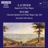 Villa Musica Ensemble - Septet in E major: II. Menuetto