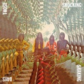Those Shocking Shaking Days - Indonesia Hard, Psychedelic, Progressive Rock and Funk (1970-1978) artwork