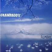Grandaddy - The Group Who Couldn't Say