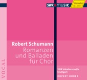 Romanze vom Gansebuben, Vol. 3 Op. 145: Romanze vom Gänsebuben artwork