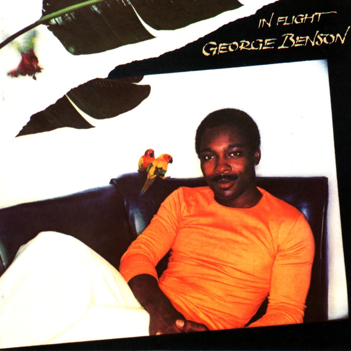 ‎in Flight By George Benson On Apple Music