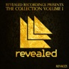 Revealed Recordings Presents the Collection Vol 1, 2011