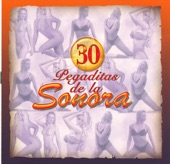 30 Pegaditas de la Sonora