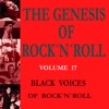 The Genesis of Rock 'n' Roll - Vol. 17: Black Voices of Rock 'n' Roll