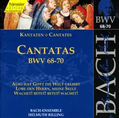 Also Hat Gott Die Welt Geliebt, BWV 68: Aria and Ritornello: Mein Glaubiges Herze (Soprano) Song Lyrics