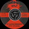 Try a Little Tenderness / I'm Sick Y'all - Single