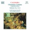 Sinfonia No. 6 in G minor: I. Adagio: Allegretto artwork