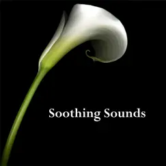 Soothing Sounds by Everness, Robert Preston & Sundip Shar album reviews, ratings, credits
