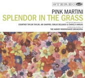 Splendor In the Grass artwork