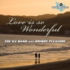 Love Is So Wonderful - Single
