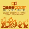 Bass Boom, The Story So Far…