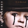 A Life Echoed - So Much More