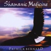 Shamanic Medicine, 2009