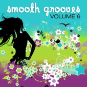 Smooth Grooves, Vol. 6 (Continuous DJ Mix) artwork