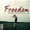 Freedom, Vol. 1, 2008