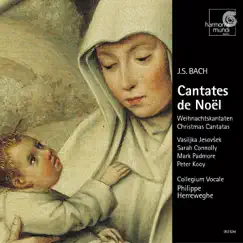 J.S. Bach: Christmas Cantatas by Collegium Vocale Gent & Philippe Herreweghe album reviews, ratings, credits