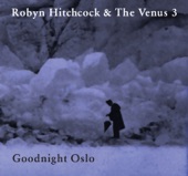 Robyn Hitchcock & The Venus 3 - Up to Our Nex