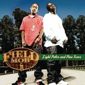 Light Poles and Pine Trees