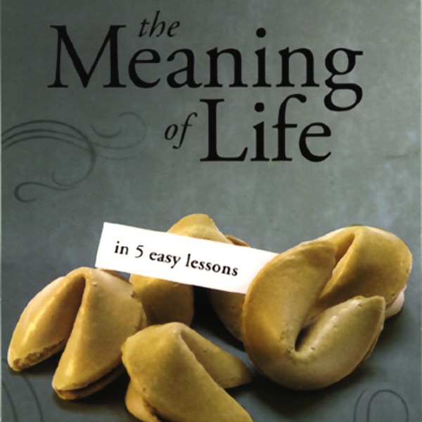  The Meaning of Life in 5 Easy Lessons (To the Best of Our Knowledge Series) Album Cover