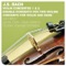 Concerto for violin and oboe in D minor BWV 1060: Allegro artwork