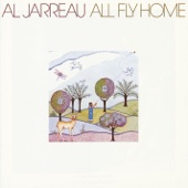 All Fly Home artwork