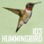 Hummingbird (Feat. Soundmouse)