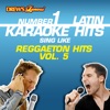 Drew's Famous #1 Latin Karaoke Hits: Reggaeton Hits Vol. 5