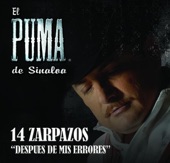 El Puma De Sinaloa - Despues De Mis Errores