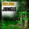 Nightfall Ambience In Central American Jungle - Nature Sound Collection lyrics