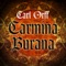 Carmina Burana: XIV. Estuans Interius artwork