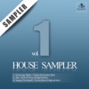 Stoneflow House Sampler 01 - Single