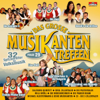 Das große Musikantentreffen - Various Artists