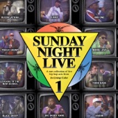 Sunday Night Live, Vol. 1 - A Rare Collection of Live Hip Hop Acts from "In Living Color" artwork