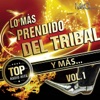 Lo Más Prendido del Tribal y Más, V*l. 1
