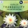 Dhun - Aura of Tranquility song lyrics