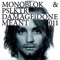 Damage Done (Matt Walsh & Zhao Remix) - Monoblok & PSLKTR lyrics