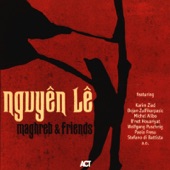 Nguyên Lê - Ifrikyia