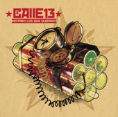 Calle 13 - Todo Se Mueve (feat. Seun Kuti)