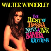 Walter Wanderley - Crickets Sing for Ana Maria
