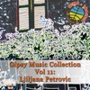 Gipsy Music Collection, Vol. 11