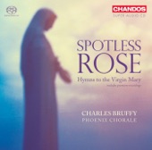 Spotless Rose: Hymns to the Virgin Mary artwork