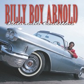 Billy Boy Arnold - How Long Can This Go On?