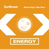 Sunflower - Eleanor Rigby (Radio Version)