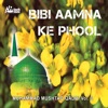 Bibi Aamna Ke Phool Vol. 3 - Islamic Naats