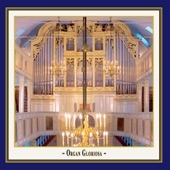 Flute Concerto for Organ Op. 55 - (2) Adagio artwork