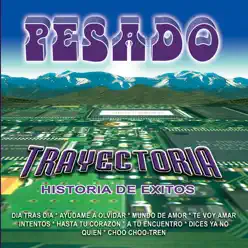 Trayectoria - Pesado