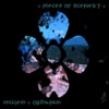 A Piece Of Scenery - Single