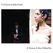 PJ Harvey & John Parish - Sixteen, Fifteen, Fourteen